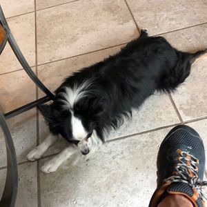 Meet your Posher, Ryan